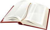 The Author